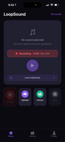 LoopSound Screenshot 2 of 4