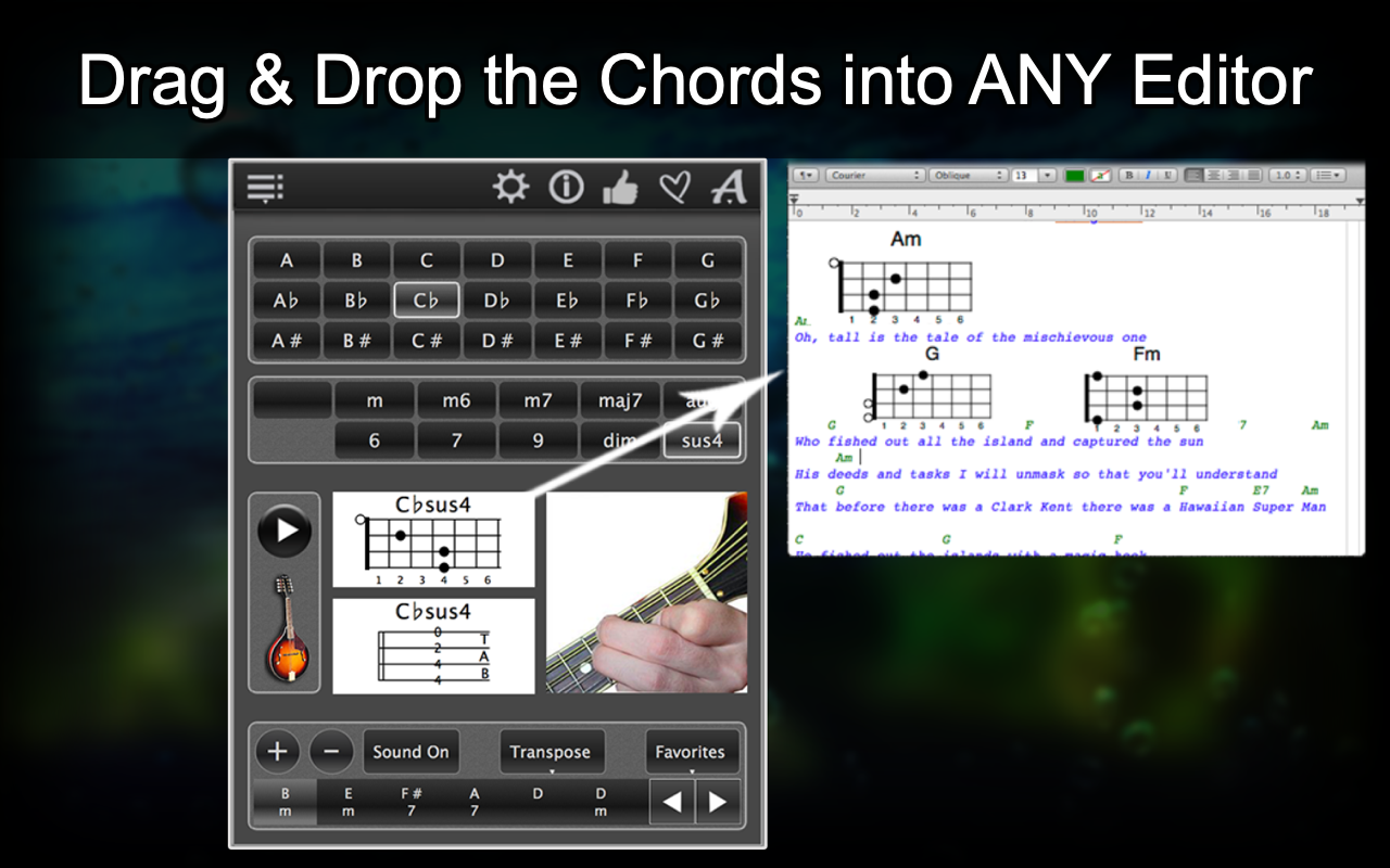 120 Mandolin Chords Pro screenshot 28