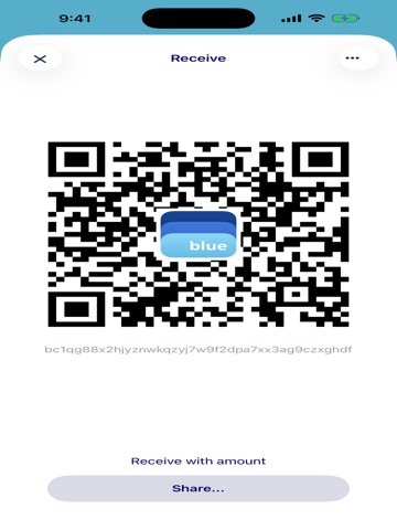 America Bitcoin Wallet iPad screenshot