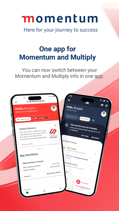 Momentum App Screenshot