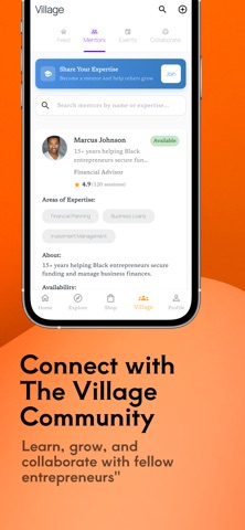 theLitwork screenshot