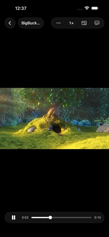 Max Media Player - MKV Video Screenshot 1 of 2