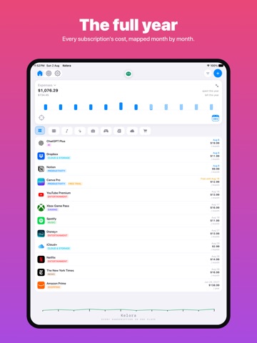 Subscription Tracker: Kelora iPad screenshot