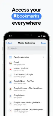 Google Chrome screenshot 10