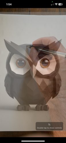 EchoDraw screenshot 2