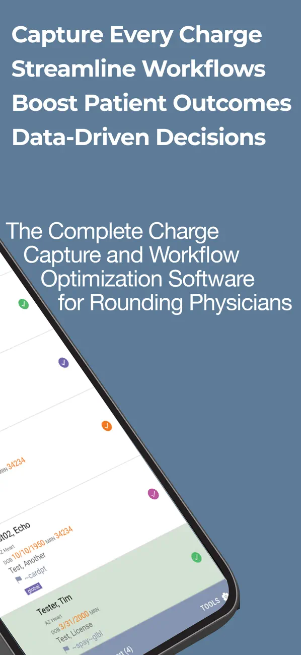 Screenshot #2 pour HybridChart Charge Capture