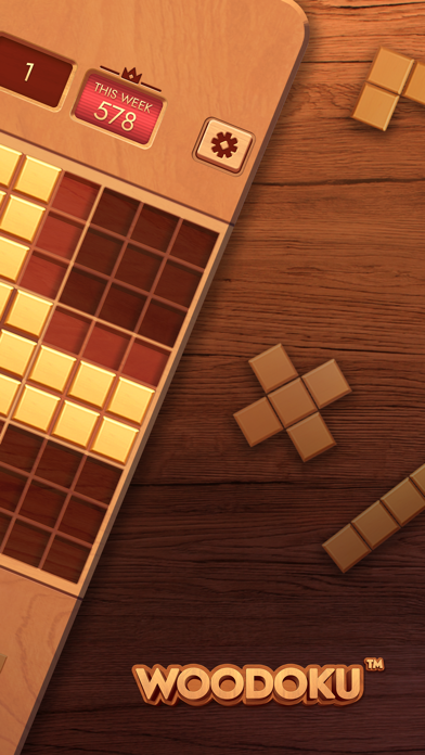 Woodoku - Houten Legpuzzels