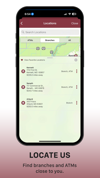 Senath State Bank Screenshot