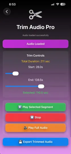 Скриншот Audiovex на iPhone 6