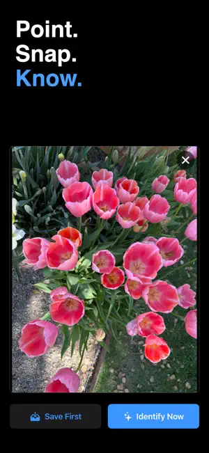 SnapIt: Plant & Animal ID screenshot 3