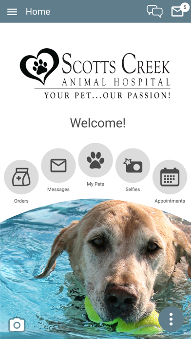 Scotts Creek Animal Hospital Screenshot