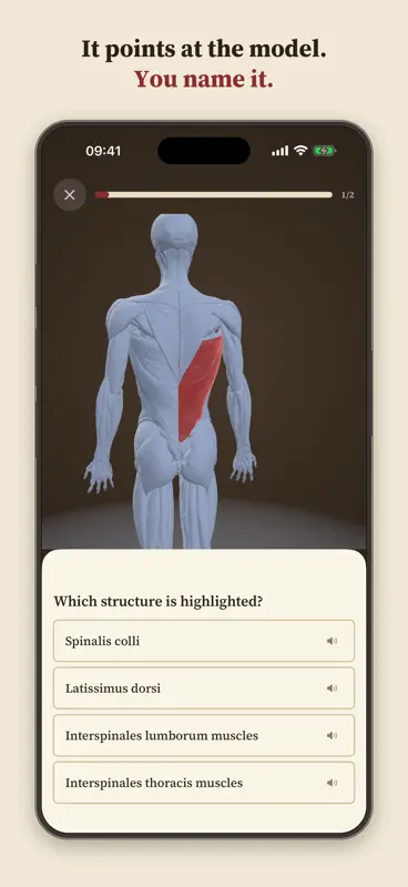 Anatomy Recall: 3D Human Body screenshot 2 of 6