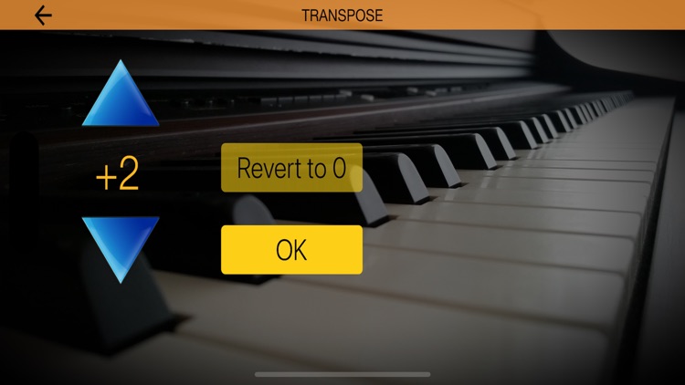 Piano Melody - Play by Ear screenshot-5