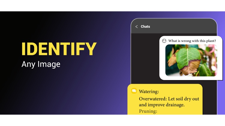 Whiz AI - Ask ChatBot & Writer screenshot-8