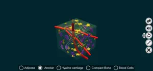 Connective Tissues-EduTech Era screenshot 2