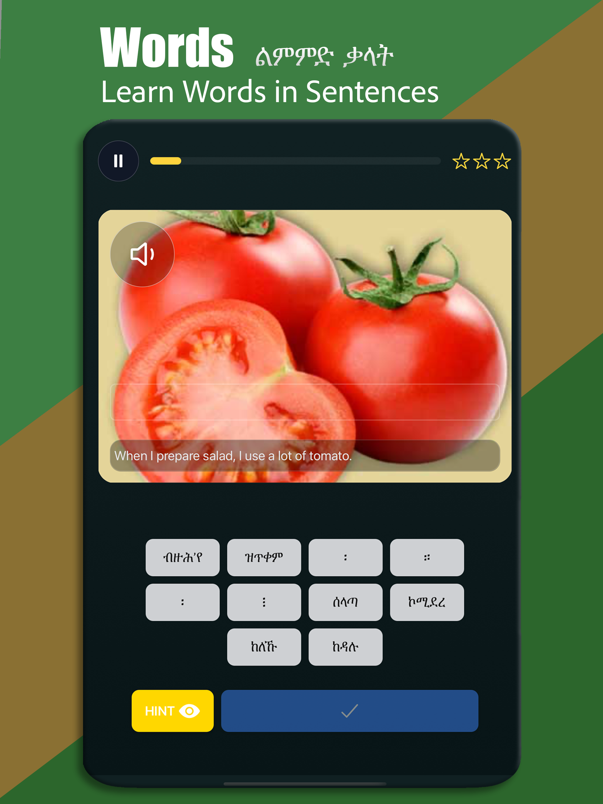 Tigrinya Basics screenshot 13