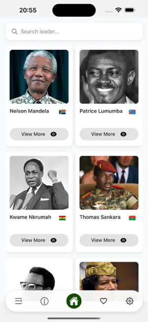 Afripedia screenshot 2