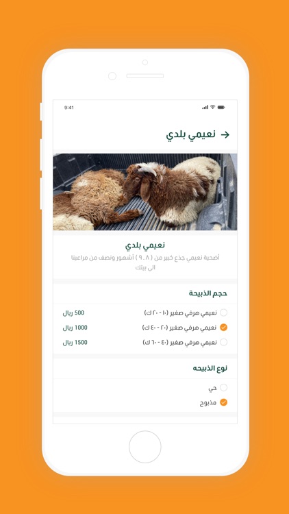 أرزاق السعودية