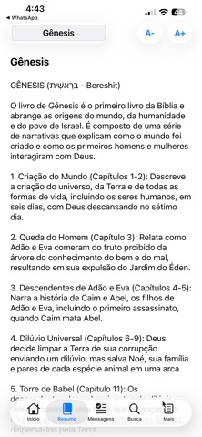 Bíblia Resumo screenshot