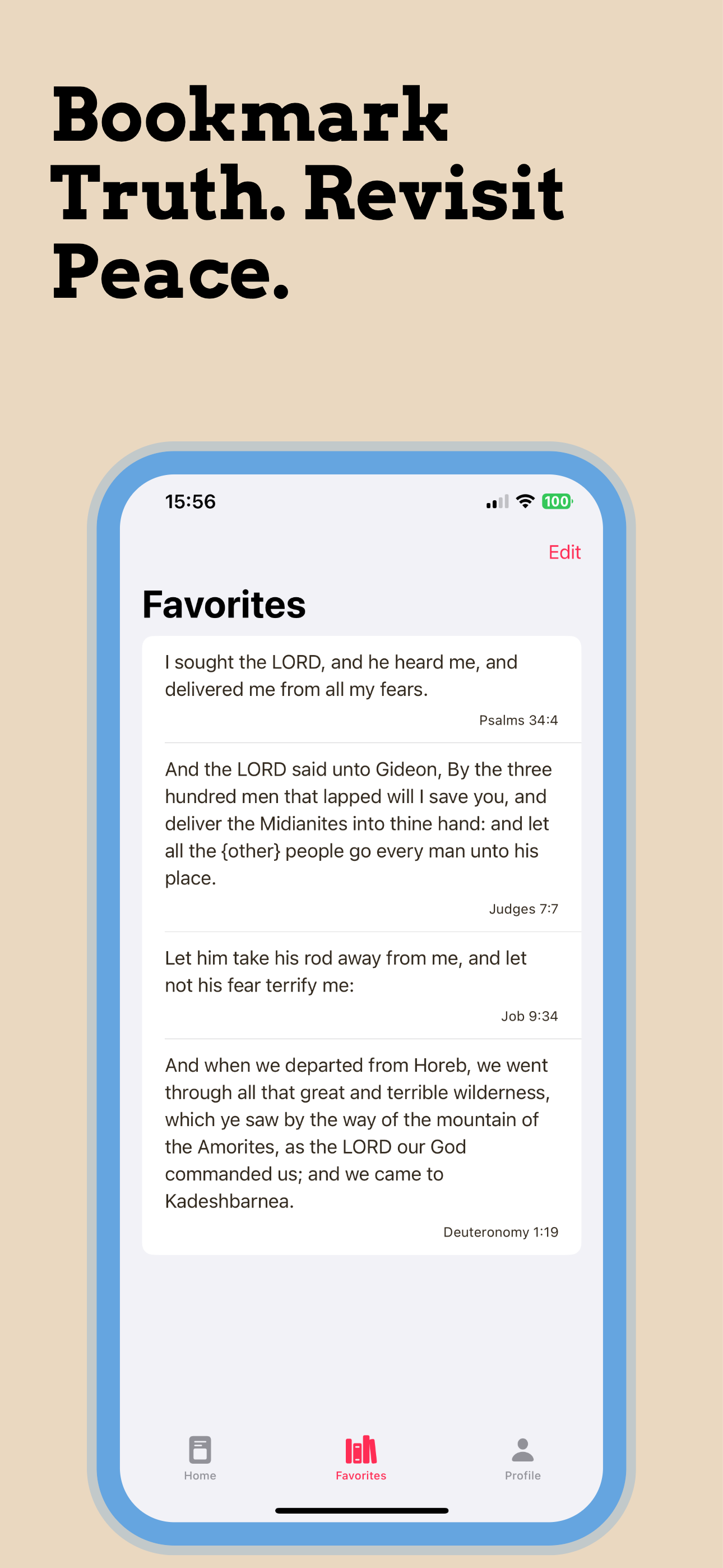 Bible AI: Bible Chat screenshot 8