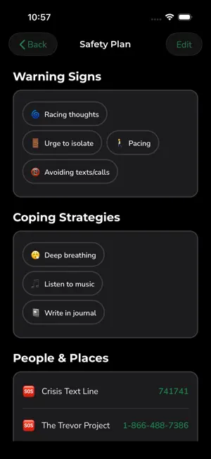 DBT Tracker: Private Diary screenshot 4