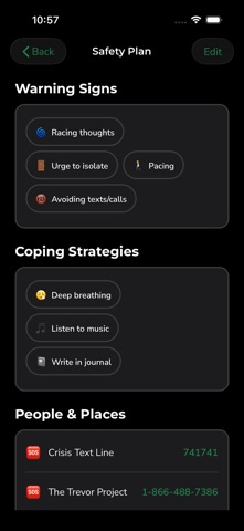 DBT Tracker: Private Diary Screenshot 4 of 10