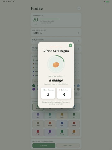 First Steps: Pregnancy iPad screenshot