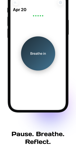 Five Things: Daily Journal Screenshot 2 of 6