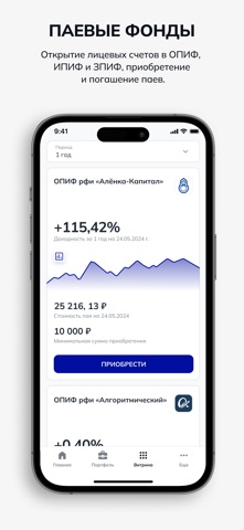 УК Рекорд Капитал — скриншот 4