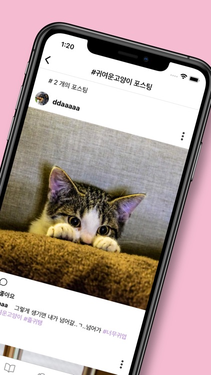 So Cutie - 귀여운 동물 SNS 커뮤니티