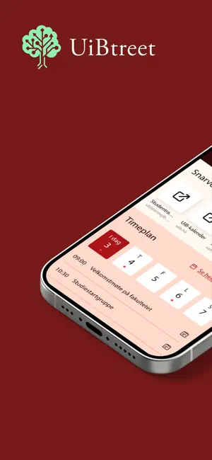 UiBtreet screenshot 1