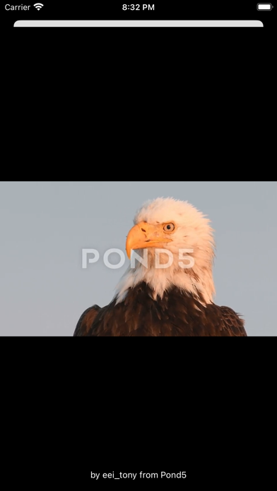 Screenshot #3 pour Wildlife Explorers