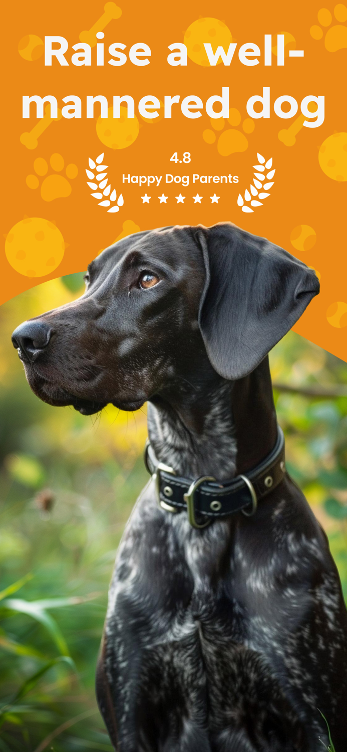 Pawsome - Dog and Puppy Training