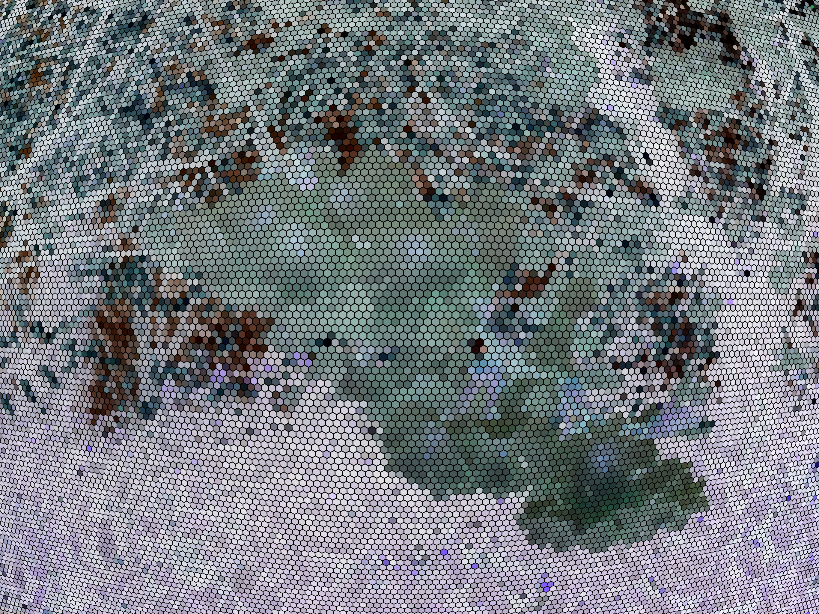 Bee Vision Cam