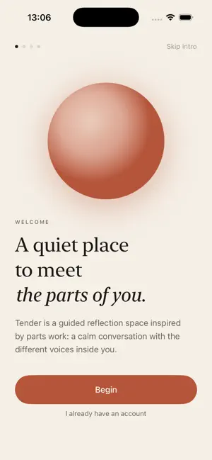 Tender IFS screenshot 2