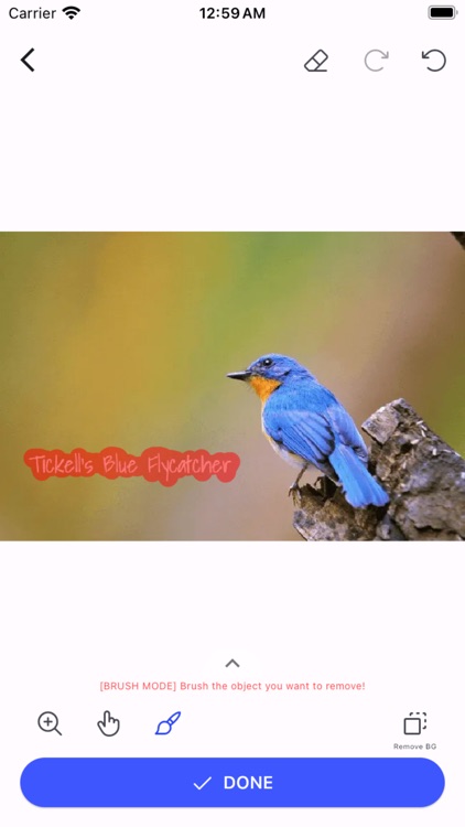 AInpainter - Remove objects screenshot-6