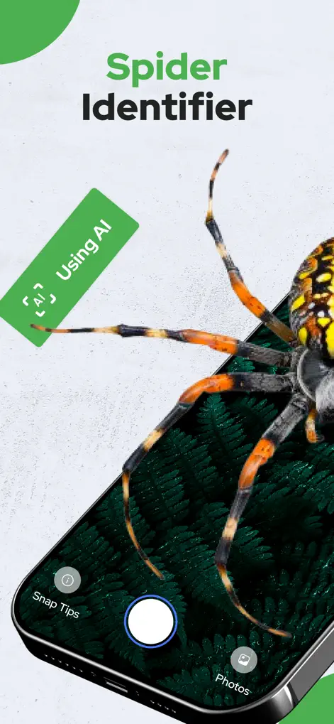 Spiders Identifier by Photo ID - Reference App | MWM