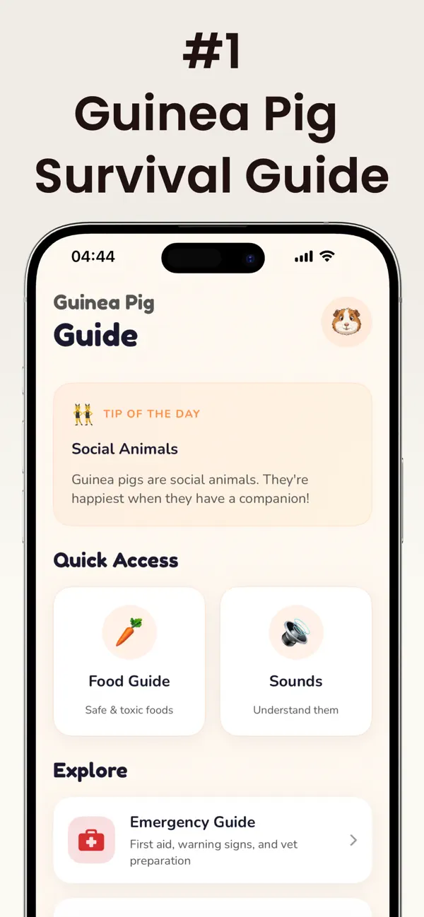 Screenshot #1 pour Wheeky: Guinea Pig Guide