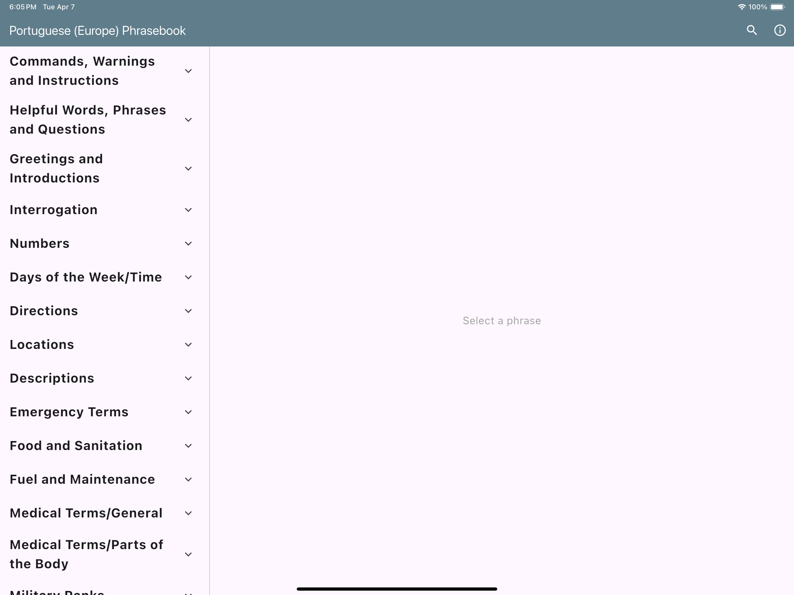 Portuguese (Europe) Phrasebook screenshot 11