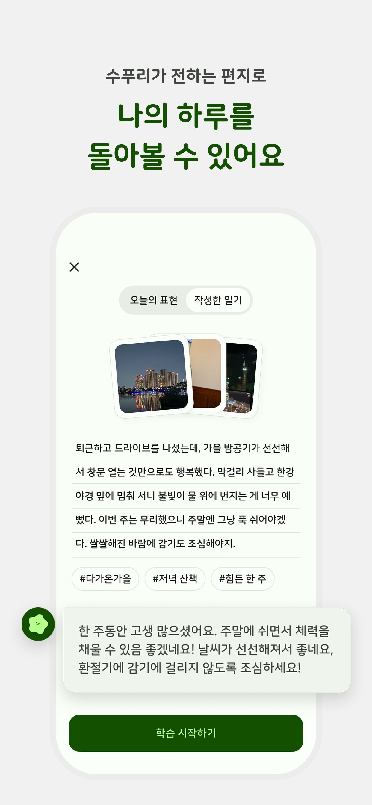 영어의 숲