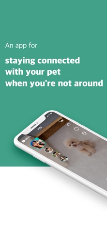 HelloCOCO - Pet CCTV, Pet Cam Screenshot 1 of 8
