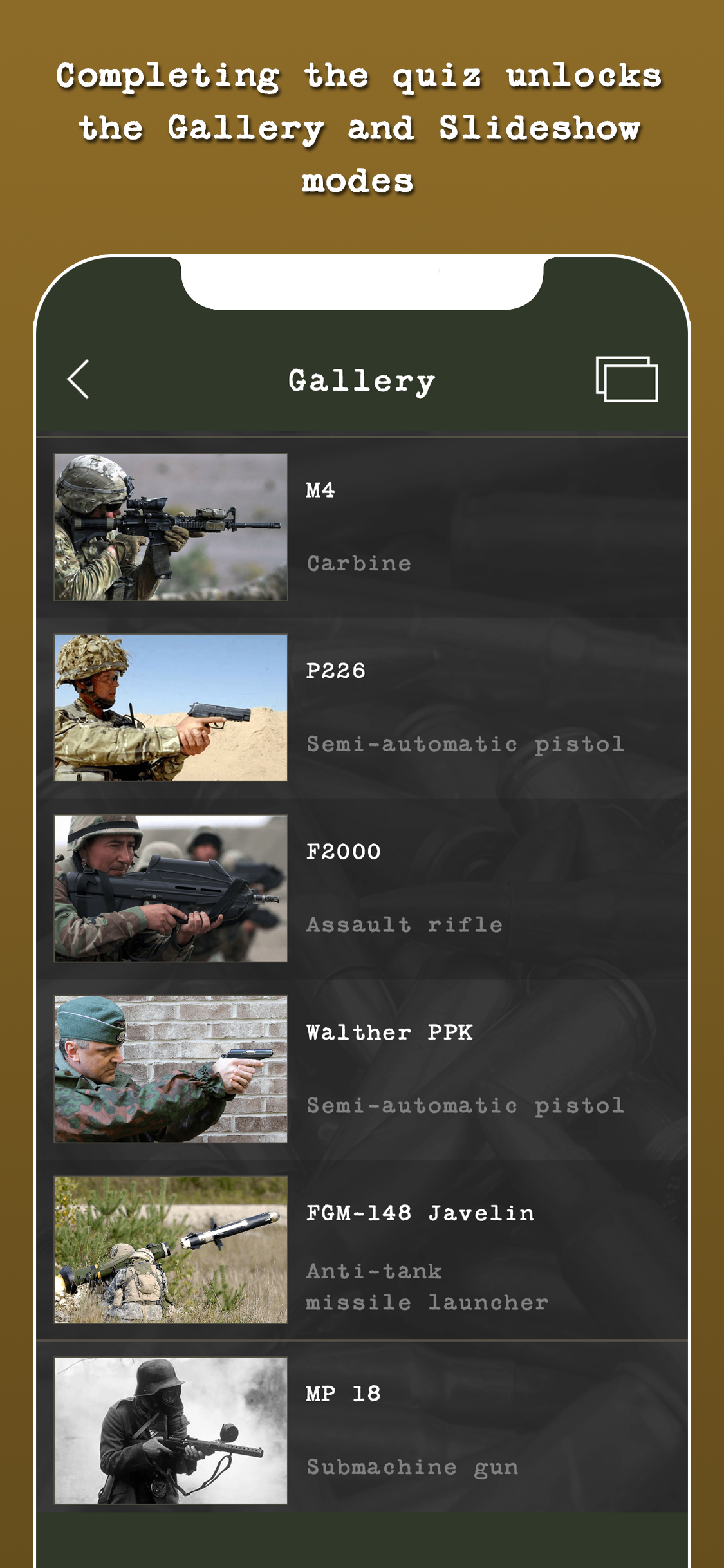 Guess the Modern Firearm