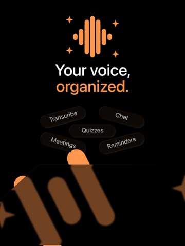 Notaty: AI Voice Notes iPad screenshot