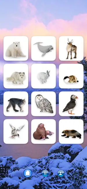 Animals of the North screenshot 2