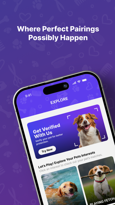 Paw Play Love iPhone screenshot 2 - Social Networking app