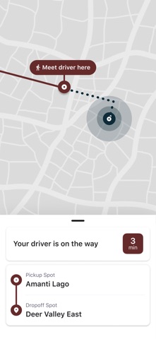 Amanti Lago Ski Shuttle screenshot
