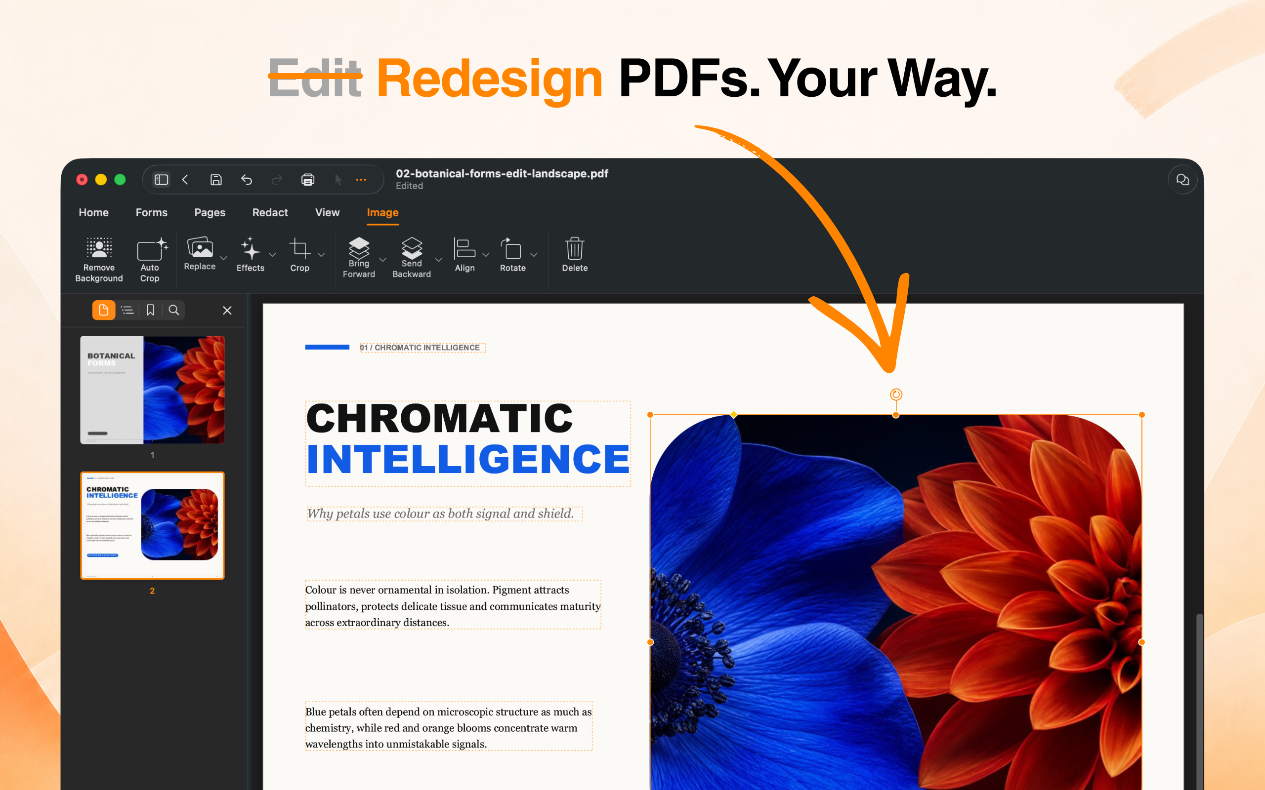 PDF Max - Edit, Sign PDFs screenshot 22
