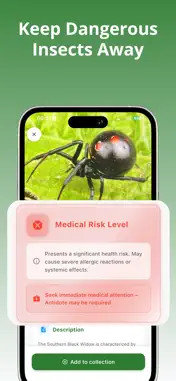 Bug Identifier: Buggo screenshot 3