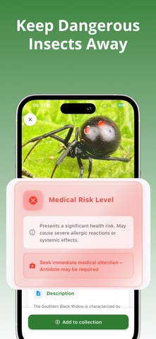 Bug Identifier: Buggo screenshot