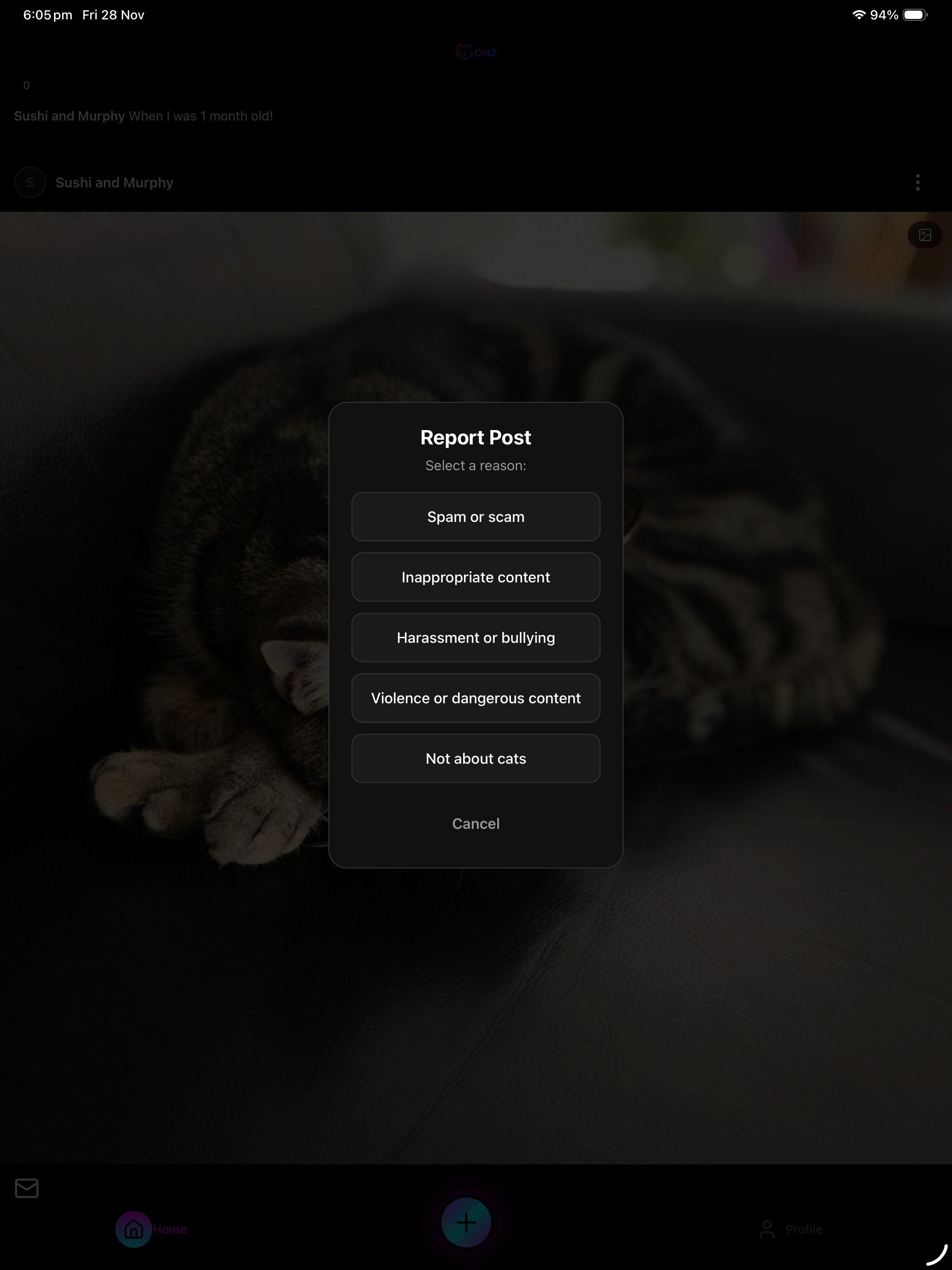 CatZ: Furly Social screenshot 19